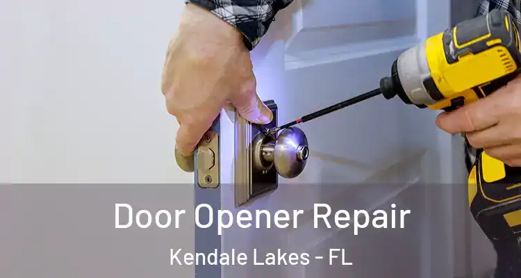  Door Opener Repair Kendale Lakes - FL