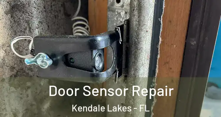  Door Sensor Repair Kendale Lakes - FL