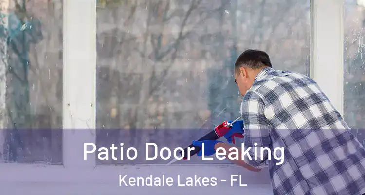  Patio Door Leaking Kendale Lakes - FL