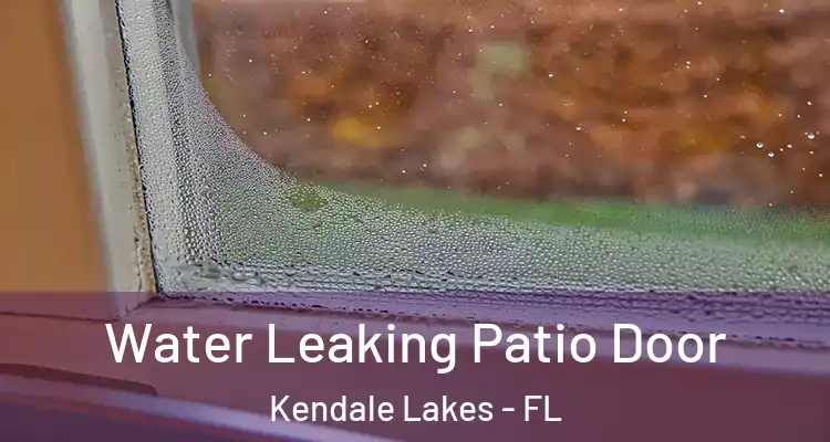  Water Leaking Patio Door Kendale Lakes - FL
